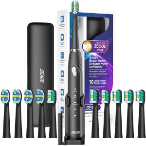 Brosse À Dent Électrique Sonique, Brosse A Dent Electrique 60 Jours D'autonomie Avec 10 Têtes De Brosse Et Étui De Voyage, Minuterie 2 Min, Brosses À Dents Ultrasoniques Sg2316 (Noir) - Neuf
