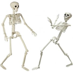 Cauc-Halloween Decoration Squelette 40 Cm D'halloween Deco Squelettes Mobiles Articul&eacute;s Squelette Anatomique Humains Pour Halloween Ext&eacute;rieur Int&eacute;rieur Jardin Maison Terrasse - Neuf