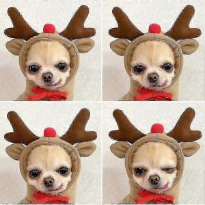 Sweat à capuche pour chien, vêtement mignon pour chien, vêtement chaud pour petit, moyen et grand chien, chat, chihuahua-yujia - Neuf