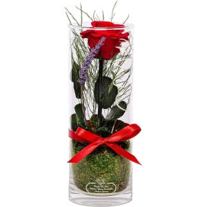 , Cadeau Maman | Rose &eacute;ternelle Rouge parfum&eacute;e avec Tige (27 cm) en Verre cylindrique | Fait Main || Fleur &eacute;ternelle en Coffret Cadeau | Cadeau Fete des Grand Mere Maman - Neuf