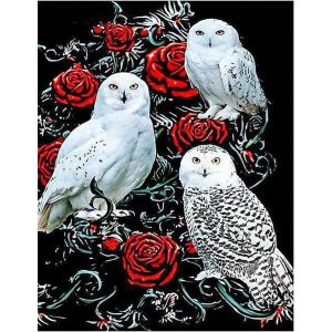 Oayew-Painting Hibou Rose 40x50 Cm Square Diamond Painting Chouette Hibou Kit Tableau Strass Hibou Perle Diamant A Coller Hibou Peinture Diamant Chouette Hibou Broderie Diamant Carr&eacute; Motif Fleurs - Neuf