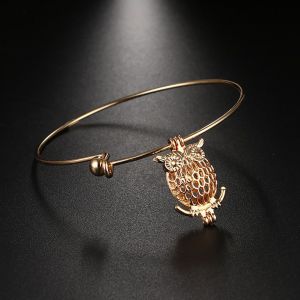 Bracelet Vintage En Cuivre Avec Pendentif En Forme De Hibou, Diffuseur D'huiles Essentielles Et De Parfums, Bijoux En Or - Neuf