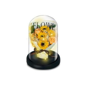 Rose pr&eacute;serv&eacute;e sous cloche en verre avec lumi&egrave;res LED - D&eacute;coration florale artisanale - Neuf
