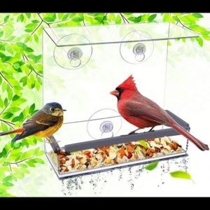 Mangeoire &Agrave; Oiseaux Carr&eacute;e De Qualit&eacute; Sup&eacute;rieure Pour Fen&ecirc;tre - Observez Les Oiseaux De Pr&egrave;s Gr&acirc;ce &Agrave; Sa Conception En Acrylique Durable Et Ses Ventouses Puissantes. - Neuf