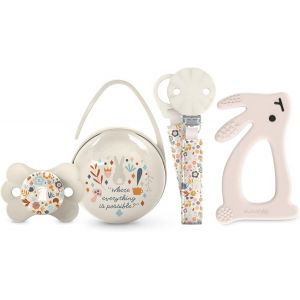Cadeau Naissance,Coffret Cadeau B&eacute;b&eacute; Avec : Sucette Avect&eacute;tine Sym&eacute;trique Sx Pro 0-6 Mois + Attache Sucette + Bo&icirc;te &Agrave; Sucettes + Anneau De Dentition En Silicone. (4 Pcs). Wonderland,Beige - Neuf