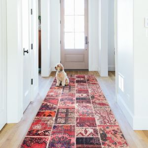 Tapis Lavable En Machine | Tapis Antidérapant | Tapis Pour Salon,Cuisine,Chambre,Salle À Manger,Entrée | Pile Basse | Acceptant Les Animaux (Couleur Rouge,80x300 Cm) - Neuf