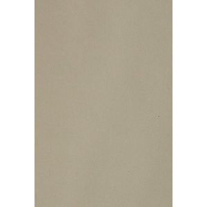 20x Carton Gris 250g Papier Décoratif A4 210x297mm Burano Pietra Idéal Pour Cartes De Voeux Scrapbooking Bricolage Invitations Art Et Artisanat Anniversaire Diy Loisirs Créatifs - Neuf