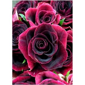 Kit De Peinture Diamant 5d 30 X 40 Cm, Motif, Rose, Fleurs, Broderies De Strass, Point De Croix, Loisirs Créatifs, Décoration Murale, Bricolage - Neuf