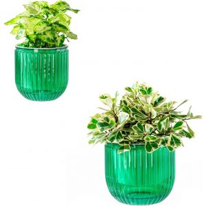 Lot De 2 Pots De Fleurs À Arrosage Automatique-Diamètre : 21/13,5 Cm-Pour Plantes D'intérieur-Pot De Fleurs-Pot De Fleurs-Pot De Fleurs-Pot De Fleurs-Pot De Fleurs D'extérieur.[N43] - Neuf