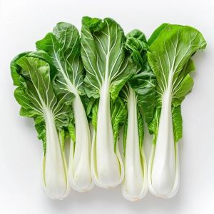300 Graines De Chou Chinois Pak Choï - Semisauvage Permaculture - Neuf