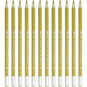 Eryi-Crayon Aquarelle, 12pcs Crayons Solubles Dans L'eau Pour Mélanger, Colorier, Dessiner, Peindre, Doré - Neuf