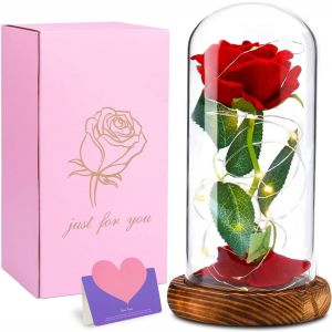Cirulli Rose Eternelle sous Cloche,La Belle et la B&ecirc;te Rose,avec Lumineuse LED, D&ocirc;me en Verre et Base en Bois, F&ecirc;te des M&egrave;res Saint-Valentin Cadeaux Anniversaire,Fleurs pr&eacute;serv&eacute;es - Neuf