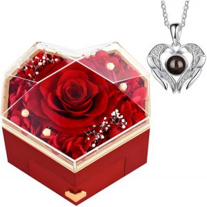 Rose Eternelle &Eacute;ternelles Pr&eacute;serv&eacute;es Cadeaux Pour Femmes Maman &Eacute;pouse, Fleur Eternelle Avec Collier Cadeaux Pour Elle Roses pr&eacute;serv&eacute;es Saint-Valentin, F&ecirc;te des M&egrave;res, No&euml;l, Anniversaire (Coeur Rouge) - Neuf