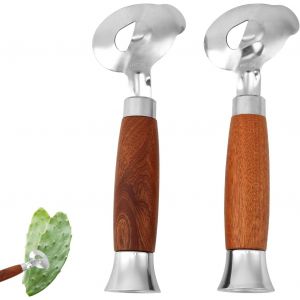 2 Outils D'&eacute;pluchage Cactus,Cuill&egrave;re &Agrave; &Eacute;plucher Les Cactus En Acier Inoxydable Avec Long Manche En Bois Coupe Nouilles Multifonction Pour Accessoires De Gadgets De Cuisine - Neuf
