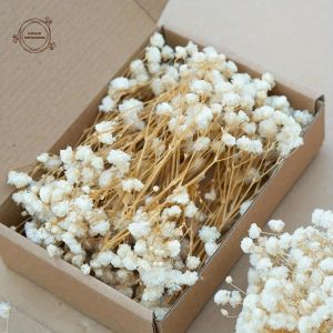 Bouquet De Fleurs Sèches Pour Bébé,50 Pièces,Arrangement Floral Gypsophile,Décor De Fête De Mariage,Vase De Table À Faire Soi-Même,Décoration D'Herbe De Pampa.50Pcs. - Neuf