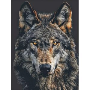 Oayew-40x50cm Peinture Diamant Kit Loup Diamant Painting Roi Loup Diamond Painting Tete Der Wolf Broderie Diamond Point Croix Peinture Puzzle D&eacute;coration D'int&eacute;rieur Convient Aux Hommes Femmes - Neuf