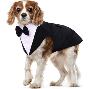Jgd-Smoking Formel Pour Chien, Set Costume E Bandana Pour Mariage Shirt Avec N?ud Papillon V&ecirc;tements Pour Chiens &Eacute;l&eacute;gant Apparel Tuxedo Pour Mariage Party Festival Halloween No&euml;l(Noir, M) - Neuf