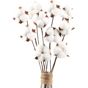 Lot de 10 fleurs de coton séchées naturelles, tiges de fleurs séchées, fausses branches de coton, décoration pour balcon, maison, table, arrangement floral - Neuf