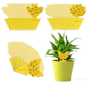 KALANKA-Anti Moucherons Plantes Interieur, 60 Pcs Pièges à Insectes Jaune Mouche Double Face Protection des Plantes Fleur Fruits Anti Moucheron Plante - Neuf