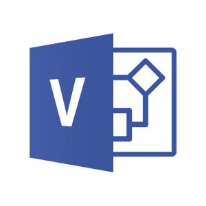 Microsoft Visio Professional 2019 - Version Boîte - 1 Pc - Sans Support - Win - Français) - Neuf