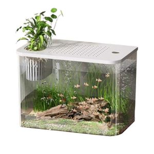 Aquarium De Bureau Transparent Pour Poissons Et Tortues,Noir - Neuf