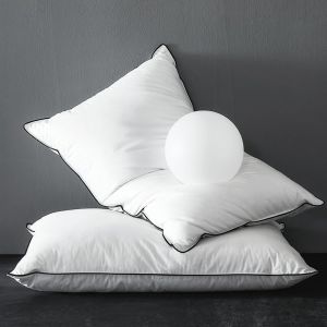 Ulteronixshop-Oreiller en d'oie Duvet 60x60 Lot de 2, Duvet et Plumes de Haute Qualit&eacute; entour&eacute;s d'un Tissu en 100% Coton Biologique, Oreiller D'h&ocirc;tel Ergonomique &agrave; 3 Chambres, Coussin de Sommeil Moel - Neuf