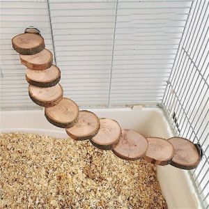 Hamster Échelle En Bois Jouet Pour Cage 10 Étapes Blocs D'escalade En Bois Jouet À Mâcher Pour Cochon D'inde Rat Hérisson Petit Animal De Compagnie Cage Accessoires - Neuf