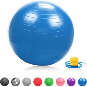 Balle De Gymnastique Souple Balle D'assise &Eacute;paisse Anti-Burst Peziball Swissball Balle De Fitness Pompe &Agrave; Balle,Coupelle De Balle,Bandes De R&eacute;sistance,Mini Balle Pilates Balle De Yoga.[K1126] - Neuf