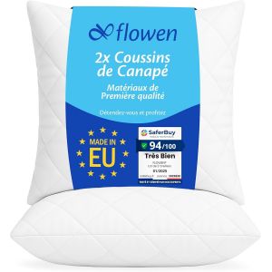 Sjzg-Coussin Canape 40x40 Lot De 2 Oreillers Decoratif Accessoires Pour Sofa Decoration Aesthetic Pour Salon Et Exterieur Antiallergiques Et Anti-Acariens Avec Taie D'oreiller En Coton Et Polyest. - Neuf
