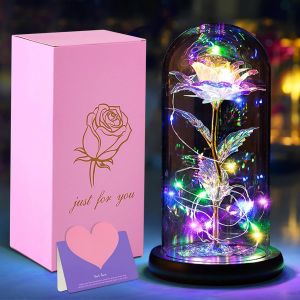 Rose Eternelle sous Cloche La Belle et la B&ecirc;te,avec Lumineuse LED,D&ocirc;me en Verre et Base en Bois,Cadeaux pour la Saint-Valentin, Anniversaire,No&euml;l,Anniversaire,F&ecirc;te des M&egrave;res journ&eacute;e des Femmes - Neuf