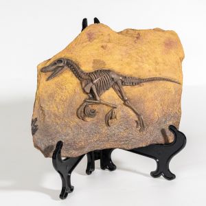 Statue en relief de fossile de dinosaure T-Rex en r&eacute;sine 3D, figurine r&eacute;aliste de dinosaure pr&eacute;historique, d&eacute;coration vintage en r&eacute;sine fossile - Neuf