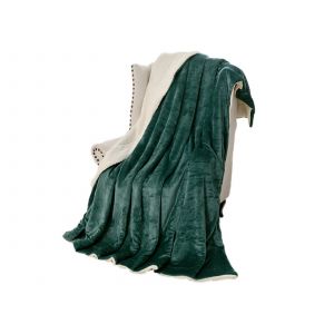 Plaid R&eacute;versible En Fausse Fourrure Sherpa 150x200cm Vert - Neuf