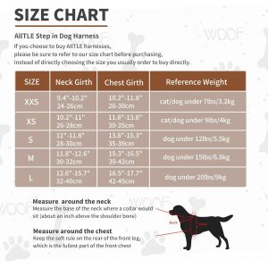 Ensemble Harnais Et Laisse R&eacute;glables Pour Chien, Gilet R&eacute;fl&eacute;chissant En Maille Souple Pour Petits Chiens, Chiots Et Chats Domestiques, Marche En Plein Air, Course &Agrave; Pied, Past&egrave;que Xs - Neuf