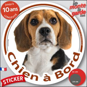 Beagle Tricolore, Sticker Voiture Rond Photo "Chien &Agrave; Bord" R&eacute;siste Pluie Soleil Gel Jusqu'&Agrave; 10 Ans, Id&eacute;e Cadeau, 14 Cm De Diam&egrave;tre - Neuf