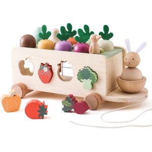 ChenQuanSarl-Montessori Jouet En Bois &Agrave; Partir De 1, 2, 3 Ans, Jeu De Tri, Puzzle En Bois, R&eacute;colte De Carottes, Jouet De Motricit&eacute;, Jouet En Bois, Cadeaux Pour Gar&ccedil;ons Et Filles - Neuf