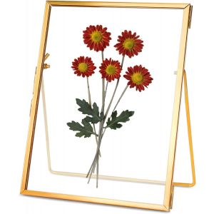 FCHHK-Cadres de fleurs pressées, cadres flottants en verre pour afficher des images de spécimens de plantes séchées, cadre photo en laiton suspendu avec chaîne, double vitrage transparent, Rectangle - Neuf