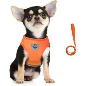 Eryi-Harnais Et Laisse Pour Chiens, Ensemble Harnais Rembourré En Mesh Doux Pour Chiots Et Chats, Veste Respirant Réglable Réfléchissant Intérieur Pour Marcher, Courir, Formation - Neuf