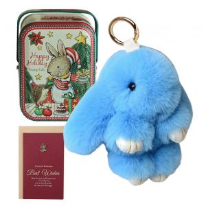 Porte-cles lapin en fourrure, adorable ensemble de pendentifs en peluche avec carte cadeau et mini boite en fer blanc - Neuf