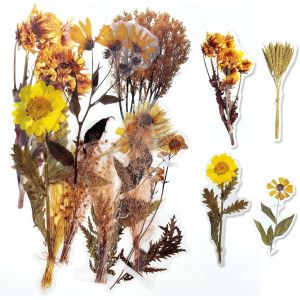 Autocollants Transparents De Grande Taille Pour Scrapbooking - Plantes Vintage - Feuilles En Pet - Bricolage - Pour Ordinateur Portable, Fabrication De Cartes, Journal Intime, Agenda - Neuf