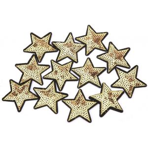 Star Patch, 12pcs BRICOLAGE Étoile de Paillettes Motif de Broderie Autocollant Vêtements Patch Vêtements Robe de Plante Chapeau Jeans Couture Fleurs Appliques DIY Accessoire - Neuf