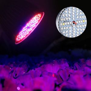 Kalanka-Ampoule De Croissance À Led,Lampe À Spectre Complet 60 W, Lampe À Ampoule Pour La Croissance Des Plantes, Ampoule Hydroponique À Fleurs Végétales Pour Serre De Légumes Et Plantes D'intérieur - Neuf