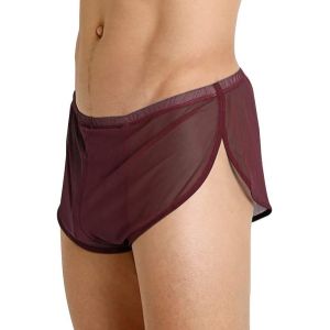 Hommes Shorts En Maille Avec De Grands Côtés Fendus Sous-Vêtements Boxers Slips Résille Maillot De Bain Transparent - Neuf