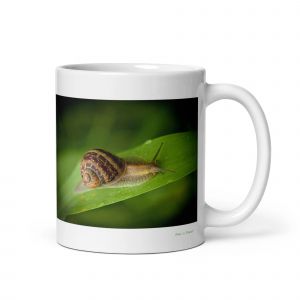 Mug Escargot, Le Patient Voyageur Du Jardin 312 G - Neuf