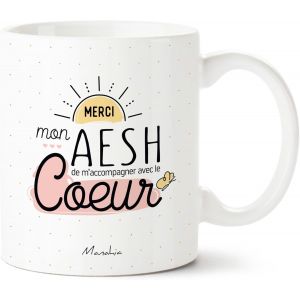 Mug Cadeau Aesh - Merci Mon Aesh De M'accompagner Avec Le Coeur - Avec Boite Kraft - 330 Ml C&eacute;ramique - Tasse Aesh Personnalis&eacute;e - Imprim&eacute; En France - Fin D'ann&eacute;e Scolaire - Tasse Merci - Neuf