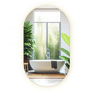 Tulup Miroir Ovale classique avec &eacute;clairage lumineux LED D&eacute;corative 40x70 cm lumi&egrave;re chaude Mural Miroir de maquillage pour dressing pour Bureau Chambre &agrave; coucher Salon Salle de bain - Neuf
