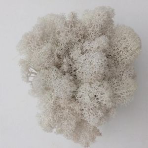 Bon March&eacute; 500/200/100G Hi-Q Artificiel Immortel Mousse Herbe Plantes Vertes Fausse Fleur Bricolage D&eacute;cor Pour Jardin Maison Paysage Plantes Mur.White.100G - Neuf