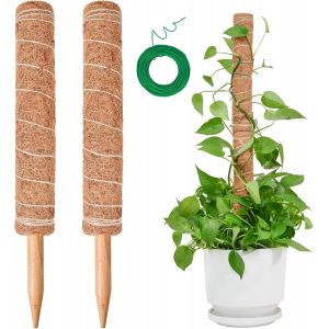 ASFASFq-Tuteur Monstera pour Plantes, SproutMaven Tuteur Plante Grimpante 2 Pièces Bâton de Coco de 40cm, Poteau Totémique pour Plantes de Jardin et Pots - Neuf