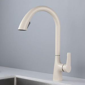 Robinet d'évier de cuisine extractible 2 modes de sortie d'eau Robinet de cuisine à poignée unique pour eau chaude et froide - Neuf