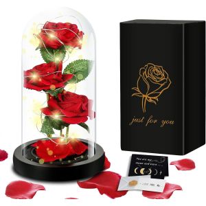 Rose Eternelle sous Cloche,Rose Enchant&eacute;e,La Belle et la B&ecirc;te Rose en Verre avec Bande Lumineuse LED,Rose Cadeau pour Anniversaire,Saint Valentin,F&ecirc;te des m&egrave;res - Neuf