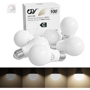 Ampoule Led E27 9.5w (&Eacute;quivalent 100w), 6500k Blanc Froid 1521 Lumens, A60 Ampoules E27 Led Efficacit&eacute; Energ&eacute;tique, D&eacute;polie, Non-Dimmable, 2 Unit&eacute; (Lot De 1) - Neuf